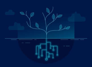 Da ego-sistema a ecosistema: modernizzazione, competenze e continuità nello zCircle di IBM