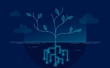 Da ego-sistema a ecosistema: modernizzazione, competenze e continuità nello zCircle di IBM